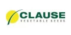 Clause