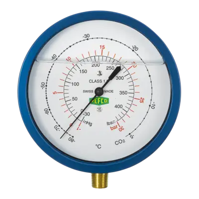 Manometru cu burduf R5-320-DS-R744-60BAR