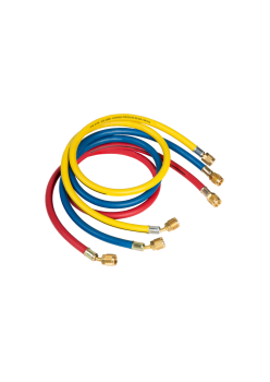 CCL-36-J2888